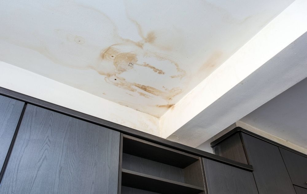 Mould, Mildew & Health Risks due to leak