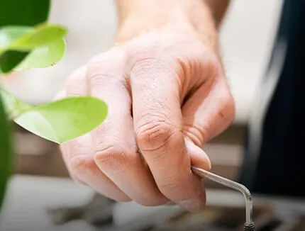 Perth plumbing services