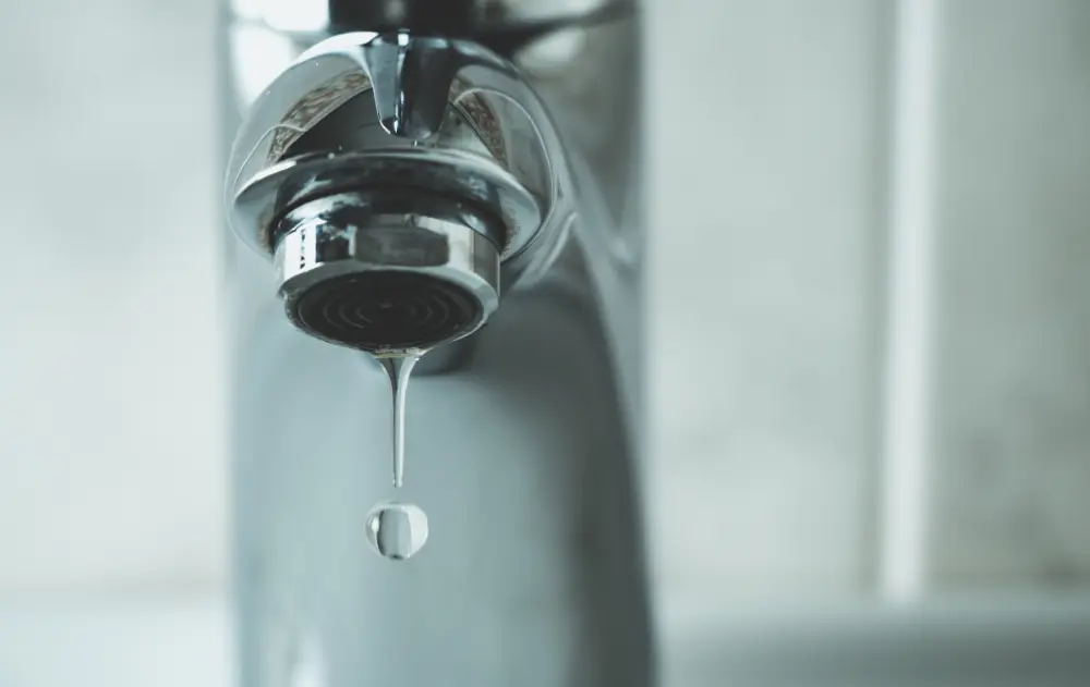 plumbing leak detection near me