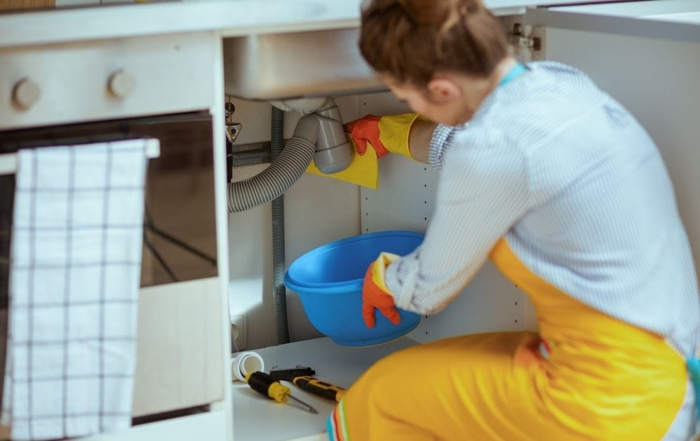 general plumbing services