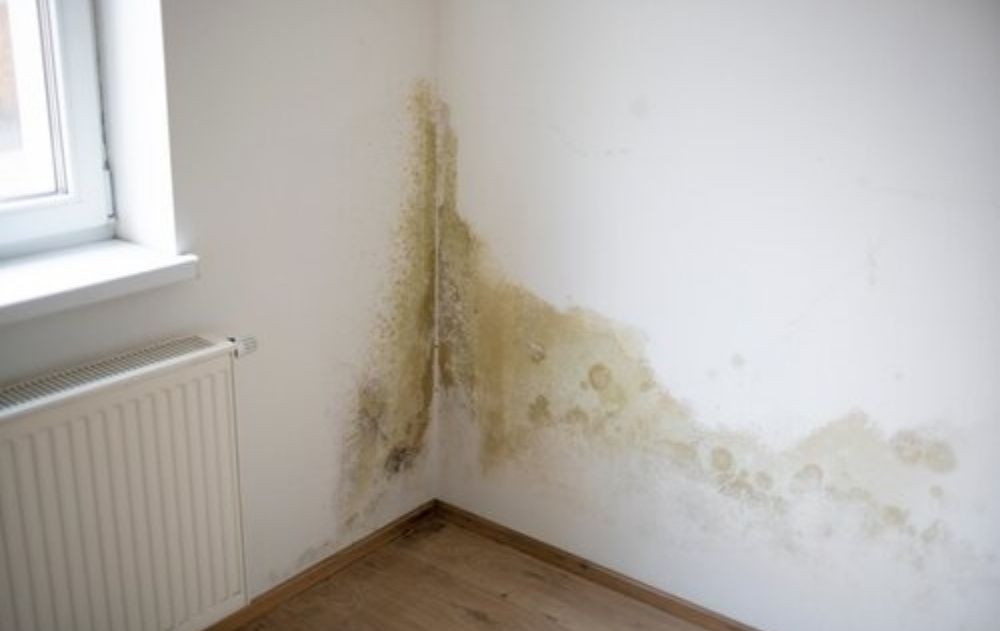 residential plumbing services