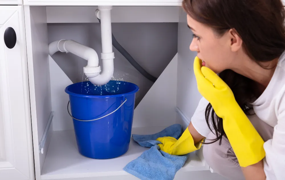 kitchen and Bathroom sink repair